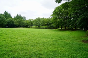 Fototapeta na wymiar 公園