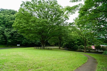 公園