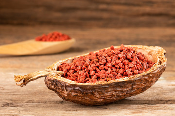 Bixa orellana - Organic annatto seeds. Text space