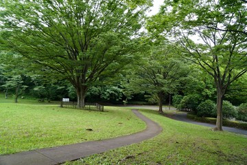 公園