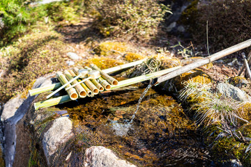 Purification fountain in Nikko, Japan with bamboo pipes, water running by ladle and rock basin in Japanese shrine temple garden