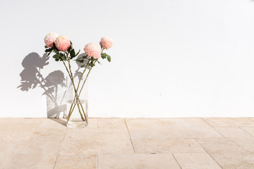 Pink and cream chrysanthemums in glass vase against white external wall with hard shadows