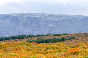 Landscape view of Thingvellir mountains or Thingvallavatn on Golden circle in Iceland, clouds covering summit range in park with autumn foliage