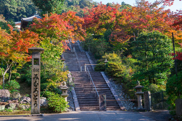 京都　三室戸寺の紅葉