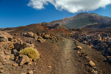 El Teide and Pico Viejo seen from the Sámara volcano, Teide National Park, Tenerife, Spain