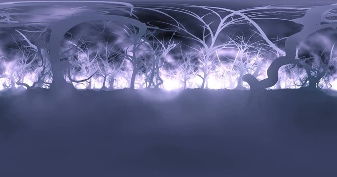 Video 360. A mysterious, magical forest. A terrible dark passage through the mist and smoke. An amazing climate of fear, horror and curiosities. The movie is looped.
