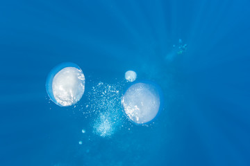 Bubbles rise to the surface from a scuba diver swimming in the depths of the tropical Pacific Ocean.