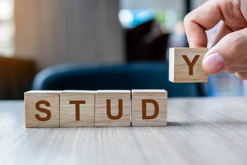 Businessman hand holding wooden cube block with STUDY business word on table background. Case study , Learning and motivation concept