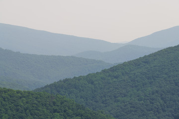 Landscape horizon view in Shenandoah Valley national park by Blue Ridge appalachian mountains on skyline drive overlook with rolling hills