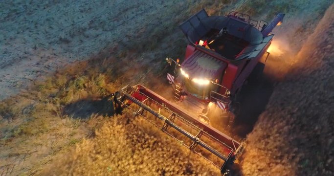 Aerial view above working combine harvester in a field at sunset. Tractors and farm machines harvesting.