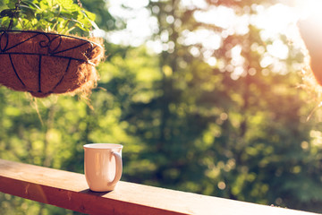 Hanging potted plant with bokeh background on porch of house with sunrise sun and coffee mug on...