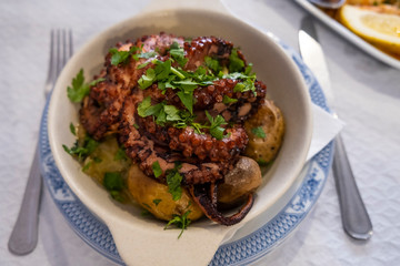 Entire Octopus Stewed in Red Wine and Served on a Bed of Small Boiled Potatoes