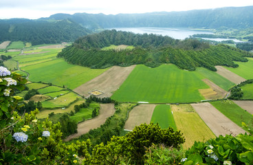 Scenic Rolling Hills, Grazing Grounds of Dairy Cows, on the Island of Sao Miguel, Azores, Portugal