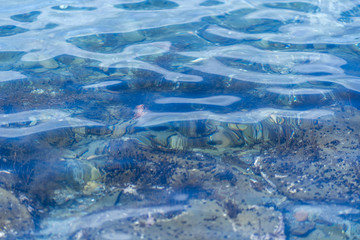 sea picture with clear water with bottom traces