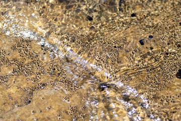 texture of the water ripples on the natural stone