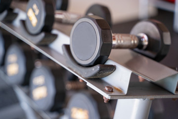 dumbbell for exercise in fitness