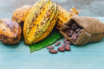 Cocoa beans and cocoa pod