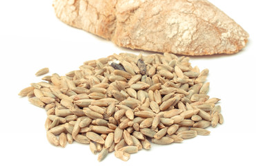 Wheat or rye grains and piece of bread on white background