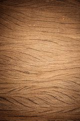 Old wood texture
