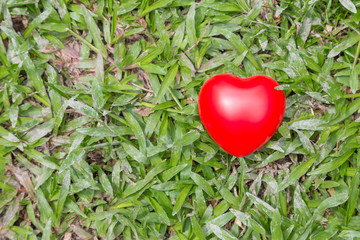 Red heart on green grass