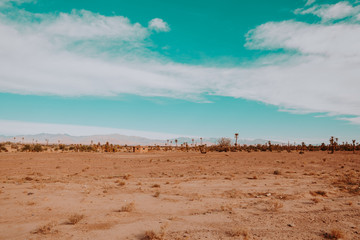 Blick auf Oase und kleine Hütten aus der Ferne die Atlas Berge im Hintergrund
