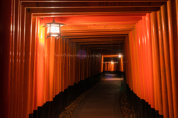 Fototapeta premium 京都 伏見稲荷大社の千本鳥居 夜景