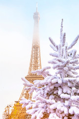 Eiffel Tower is the main attraction of Paris on the background of  frosty Christmas trees covered by snow in winter. Travel Greeting Card from Paris with love, France