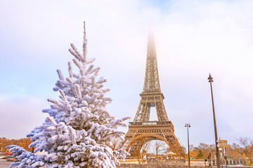 Eiffel Tower is the main attraction of Paris on the background of  frosty Christmas trees covered...
