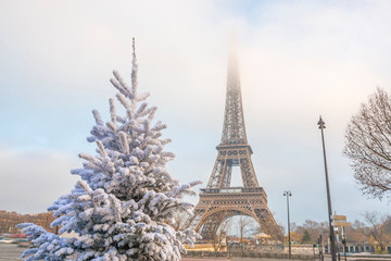 Eiffel Tower is the main attraction of Paris on the background of  frosty Christmas trees covered by snow in winter. Travel Greeting Card from Paris with love, France