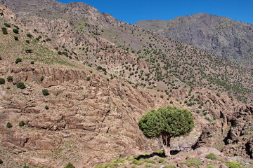 Fototapeta na wymiar Hiking in High Atlas mountains in Morocco