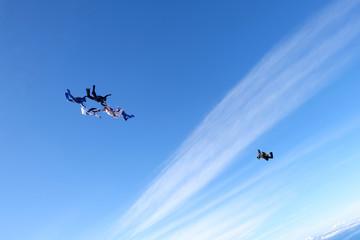 Fototapeta na wymiar A group of skydivers is in the sky.