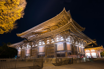 Fototapeta premium 京都 東寺の金堂 夜景