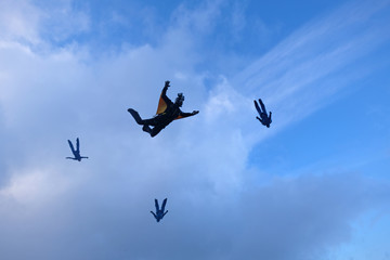 A skydiver with wings is in the sky.