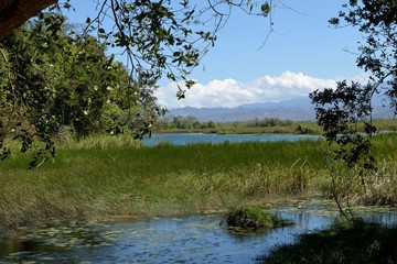 Fototapeta na wymiar Un hermoso estanque en un día soleado cerca de los lagos de colon.
