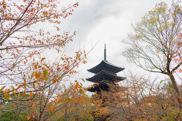古都京都 東寺の秋景色