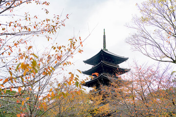 Naklejka premium 古都京都 東寺の秋景色