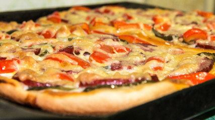 pizza on a white background