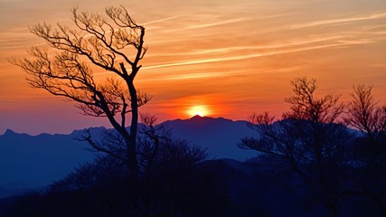 大台ケ原山で見た夕焼けの情景