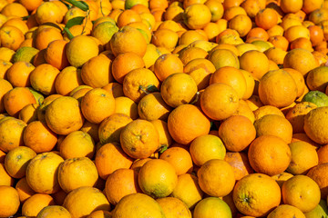 Orangen - Zitronen - Menge