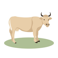 Основные RGB