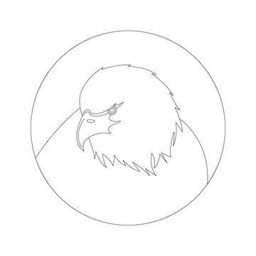 eagle head, vector illustration,lining draw,