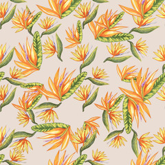 Tropic vintage background. Botanical vector illustration. Jungle flower botanical strelitzia pattern.