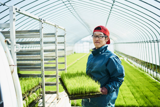 Portrait of farmer holding seedlings in greenhouse