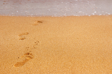 Fototapeta na wymiar Footprints from children's feet in the clear sea sand