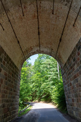Asphalt road leading through a stone tunnel. A short tunnel in a wooded area.