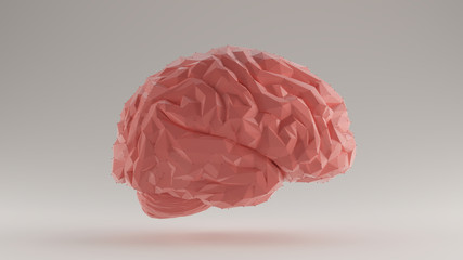 Brain Pink Futuristic Artificial Intelligence Polygon Right View