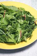 A plate with green salad	