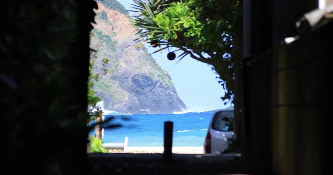 Fukugi namiki tunnel street behind the blue ocean in Amami oshima Kagoshima