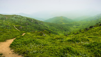 Vista de las lomas de Lachas en Lima
