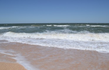Fototapeta na wymiar Sea view with foamy waves and sandy beach.